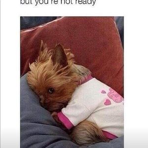 Meet your Posher, Pamela